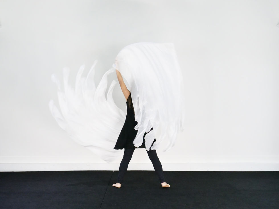 Thumbnail: Angelic Wings // STANDARD SIZE // Double Layer Silk Flags (Set of 2)