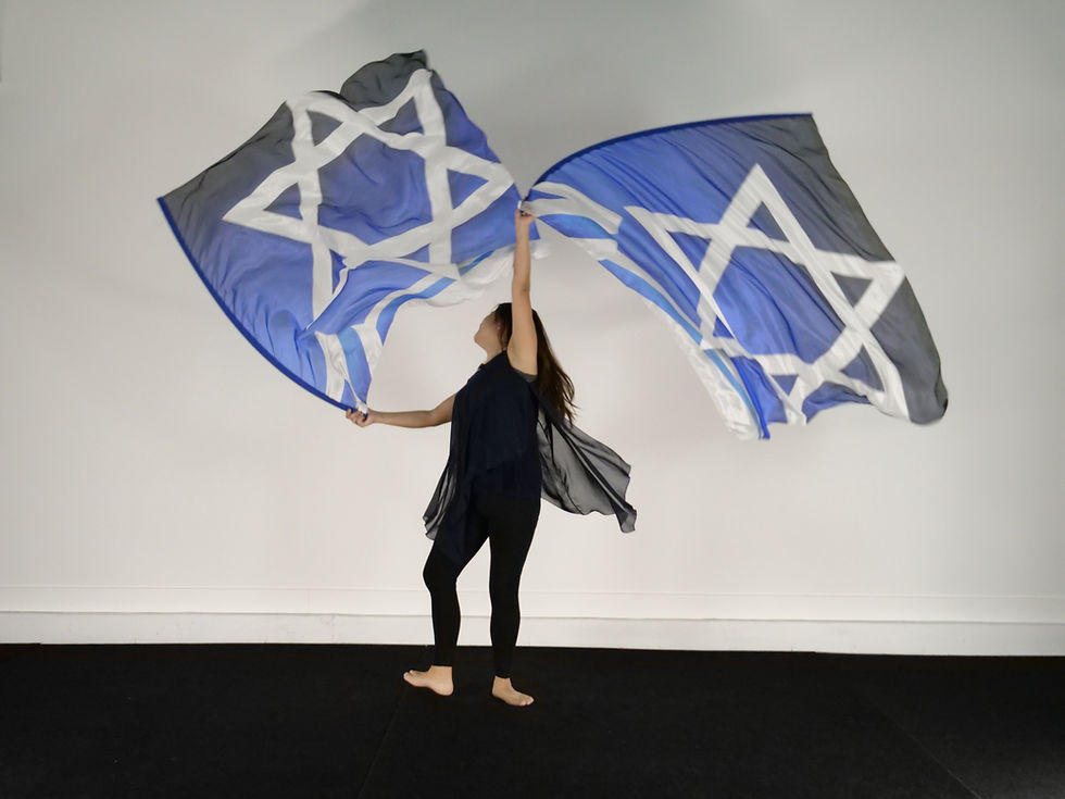 Thumbnail: Standard Size // Star of David // Silk Flags (Set of 2)