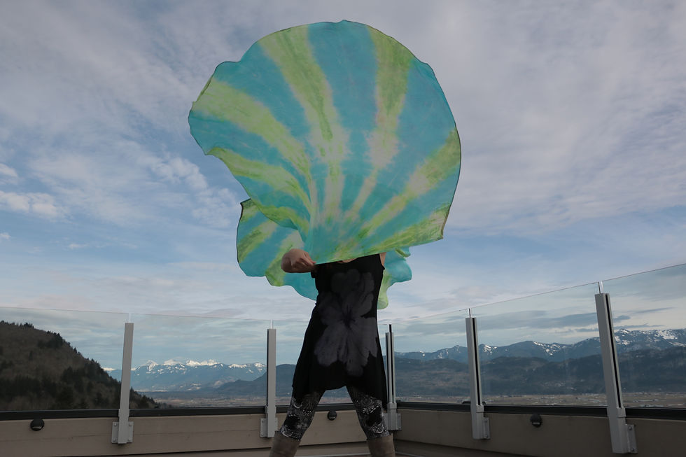 Thumbnail: Spin flag Annointed worship flags Swing flags