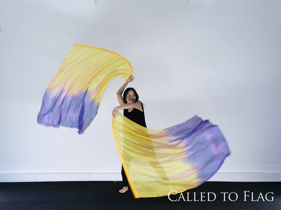 Thumbnail: Presence // (L) Silk Flags (Set of 2)