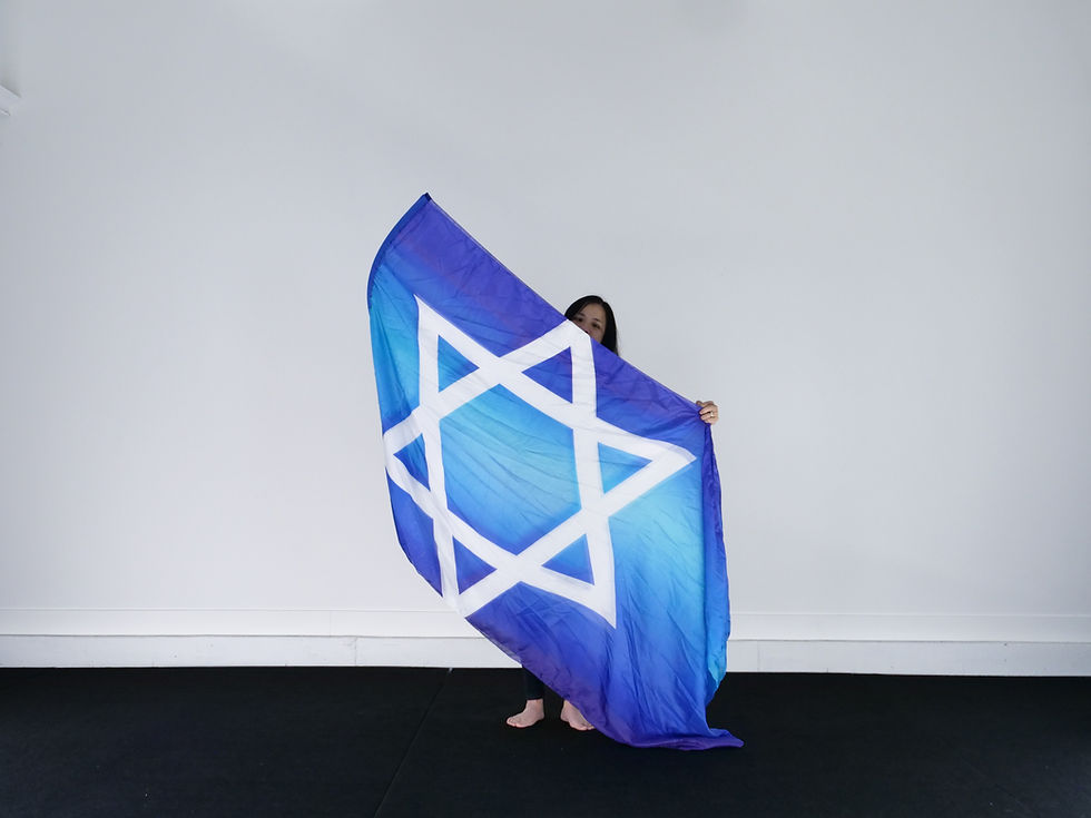 Medium Long // Star of David // Silk Flags (Set of 2)