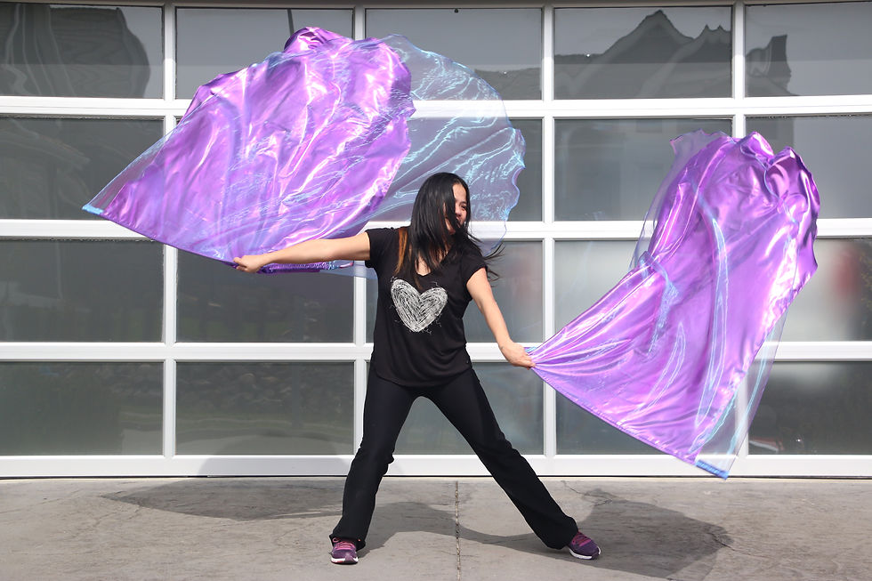 Thumbnail: Light weight Multi Layer Angel Wings worship Flag