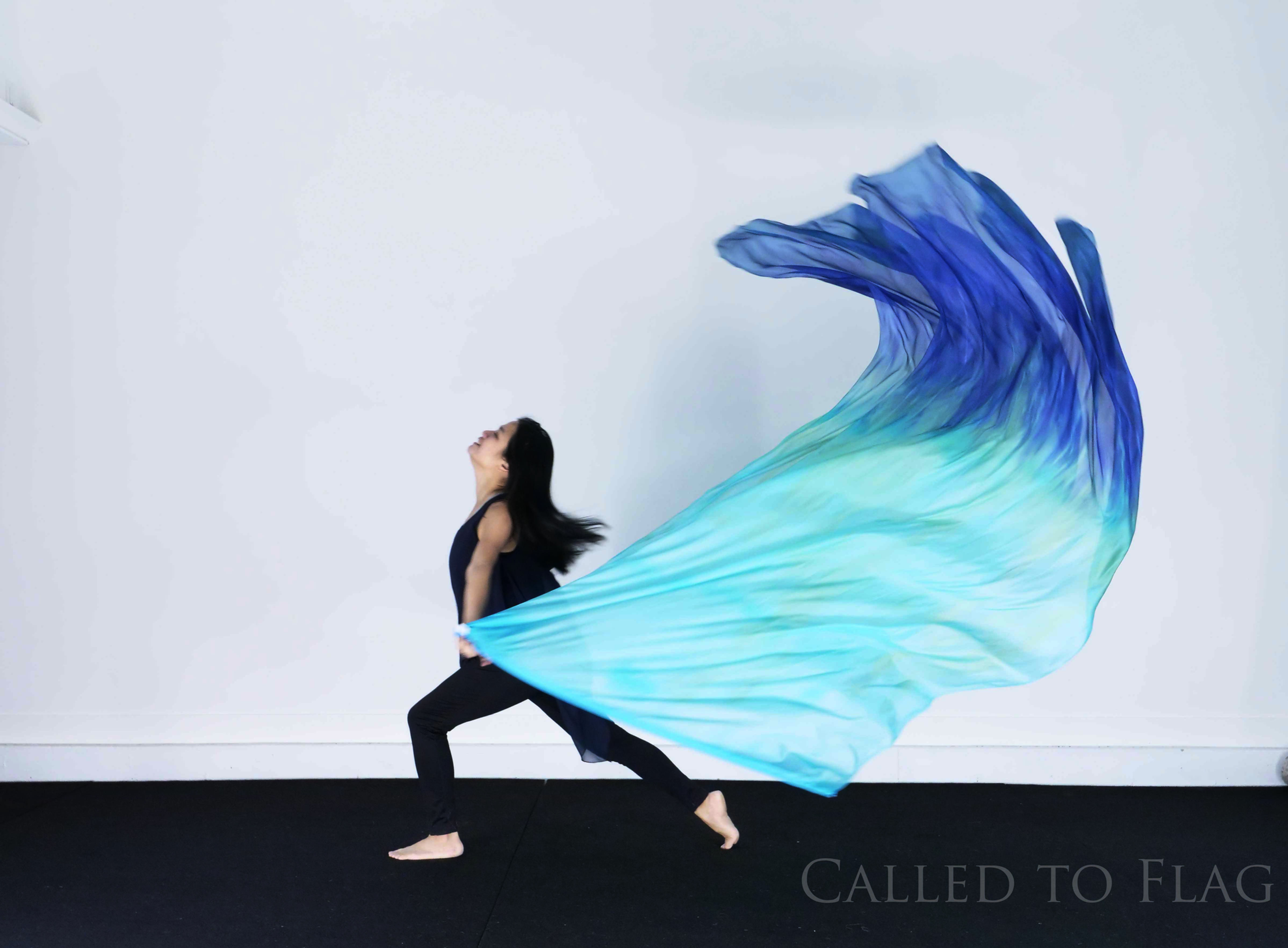Mighty Wave // (ED) Long Silk Flags (Set of 2)