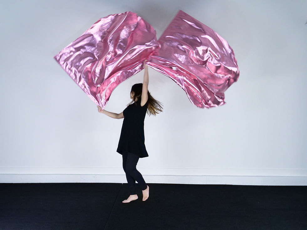 Thumbnail: Liquid Metal (Set of 2 Flags) - Coral Pink