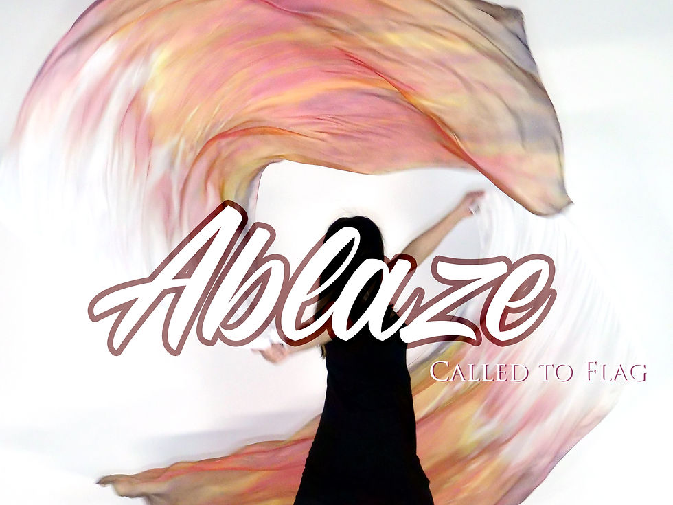 Ablaze Silk Flags