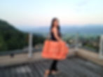 Thumbnail: Conference Travel Bag - Papaya Orange