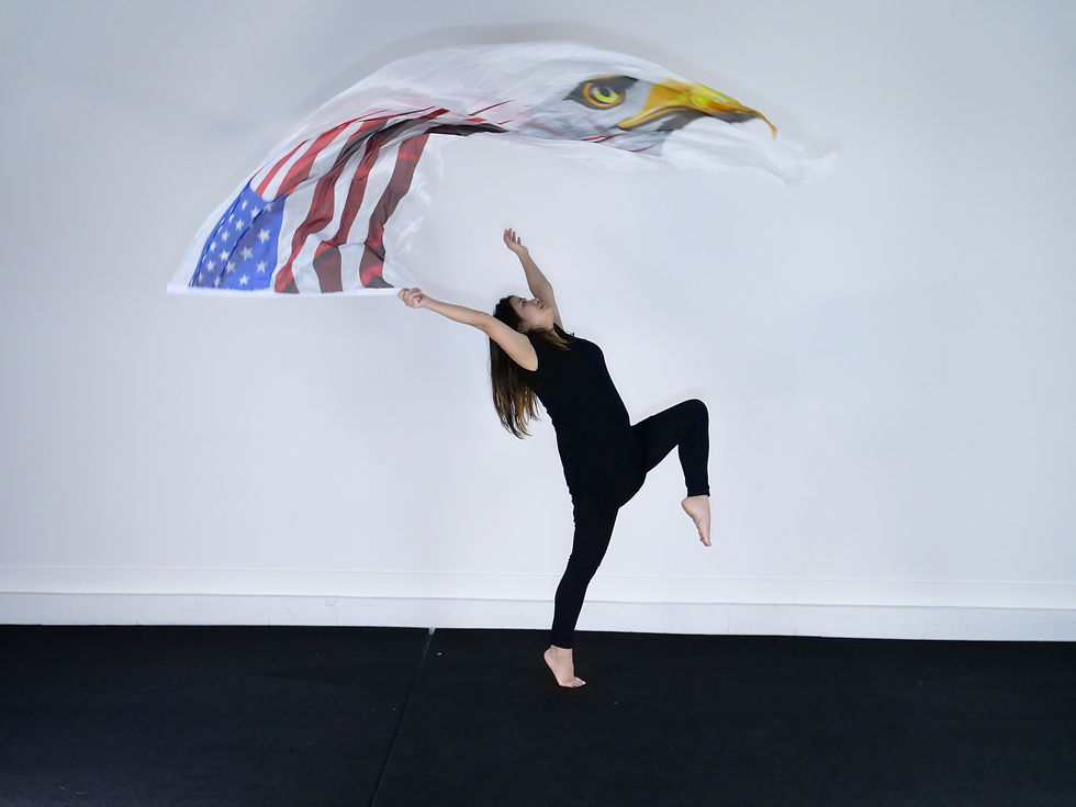 Thumbnail: Extra Long // USA flag with Eagle // Silk Flag(s) - from $135