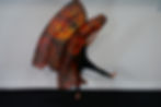 Thumbnail: Medium Long // Lion's Roar // (Set of 2)