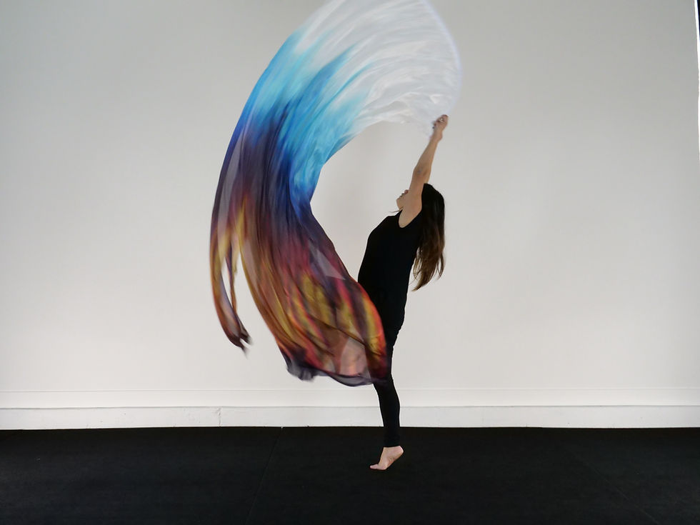 Extra Long // Light the Torches // Flag(s) - from $135