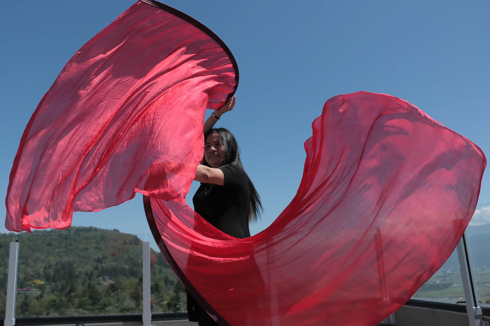 Thumbnail: Silk Flags Annointed worship flags