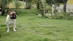 DSC05369