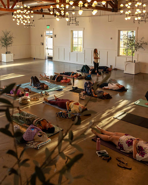 Breathwork Teacher Training