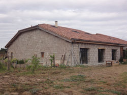 DSC08427