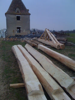 Baurillon 017