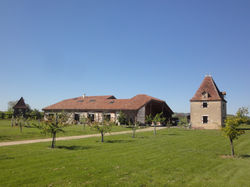 DSC09746