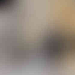 Lançamento poltrona FOLD para Nolan Collection na Abimad