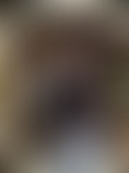 Léo Shehtman na CASACOR: Uma trajetória de 37 participações