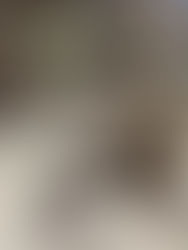 Exposição D&D: A Paixão de Léo Shehtman por Sapatos de Grife