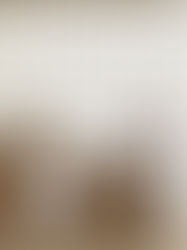 Tela tensionada Alumiframe no projeto de Léo Shehtman na CASACOR 2025