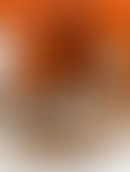 Léo Shehtman assina Sala VIP e lança peças exclusivas na ABIMAD 2024