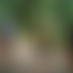 Government Can't Save Your Organization. Here's What Leaders Must Do Instead.