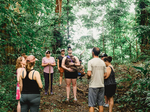 How Conscious Communication Elevates Leadership Effectiveness