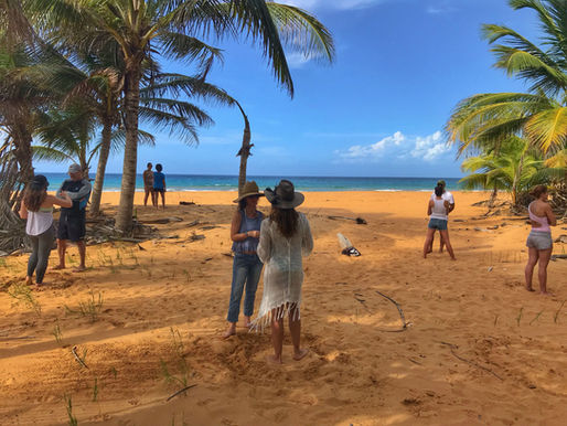 Why Puerto Rico Is One of the Best Corporate Team Building Destinations in the US