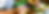 ae9 (1750 x 500 px)9.png