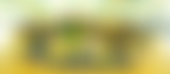 Sementinha encerra a Copinha em clima de Copa do Mundo e integração escolar
