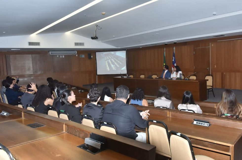 A consultora legislativa Thiara Pereira repassa aos visitantes, no Plenarinho, informações sobre o processo legislativo