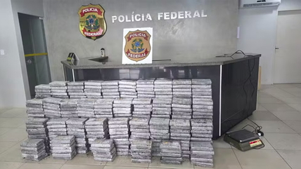 Golpe no Tráfico: Forças de Segurança Apreendem Meia Tonelada de Cocaína Pura no MA