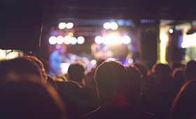 Audience at a Concert