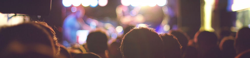 Audience at a Concert