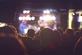 Audience at a Concert