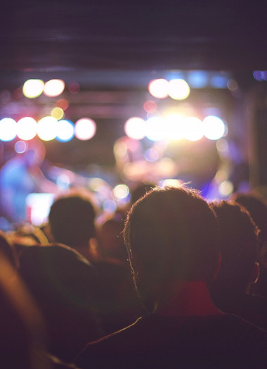 Audience à un concert