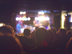 Audience at a Concert