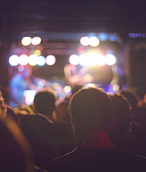 Concert Crowd View