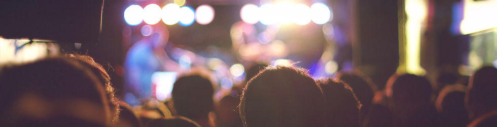 Audience at a Concert