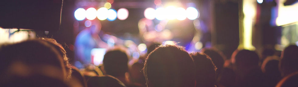 Concert Crowd View
