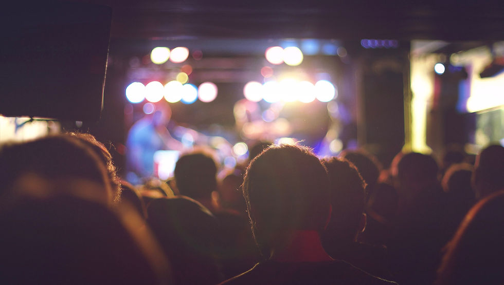 Audience at a Concert