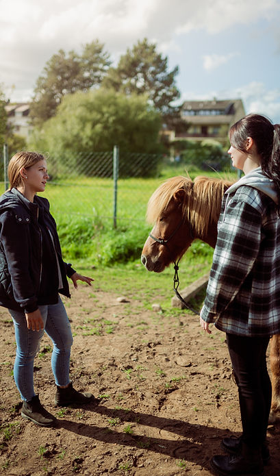 Am Rande einer Wiese stehe ich, Michelle Schett mit einer Klientin und dem Pferd Foss während einer therapeutischen Einheit mit pferdegestützter Intervention.