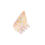 Miniature : Pince coquillage