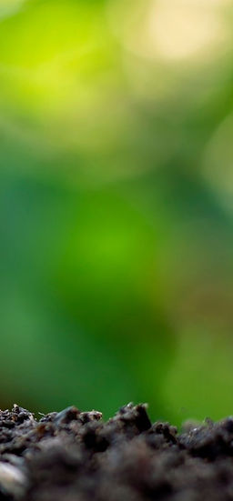 Harunessイメージ画像