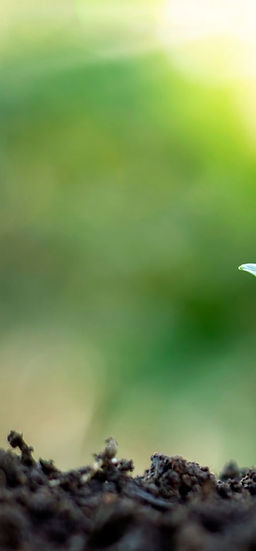 Harunessのイメージ画像