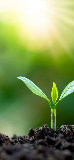 Harunessイメージ画像