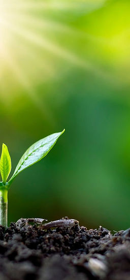 Harunessイメージ画像