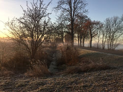IMG_4811.jpeg