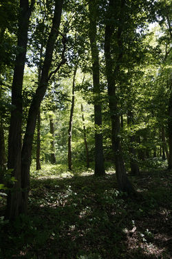_DSC5615.jpeg