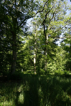 _DSC5841.jpeg