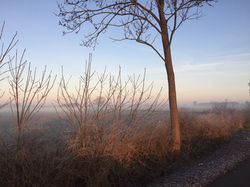 IMG_4815.jpeg